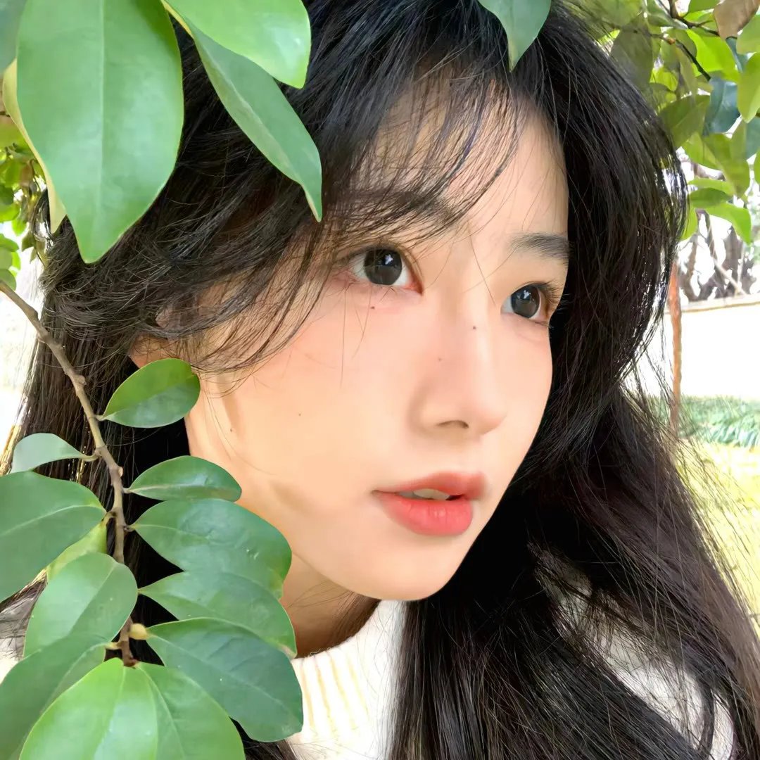 汉娜 第一季封面