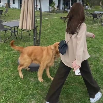警界雄风封面